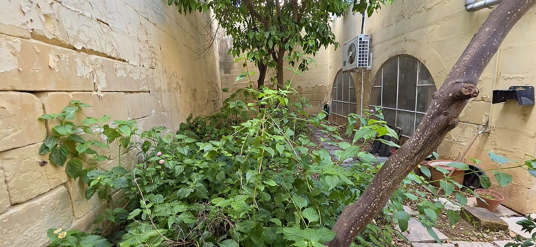 Villa in Attard — 5