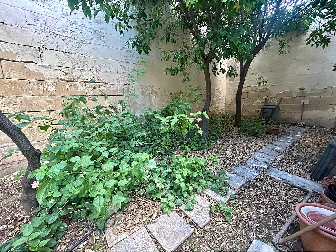 Villa in Attard - 3 beds, 3 baths — 5