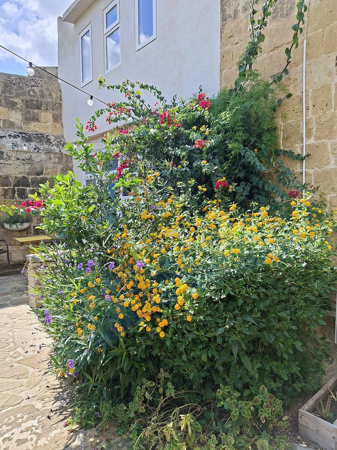 House in Balzan - 4 beds — 5