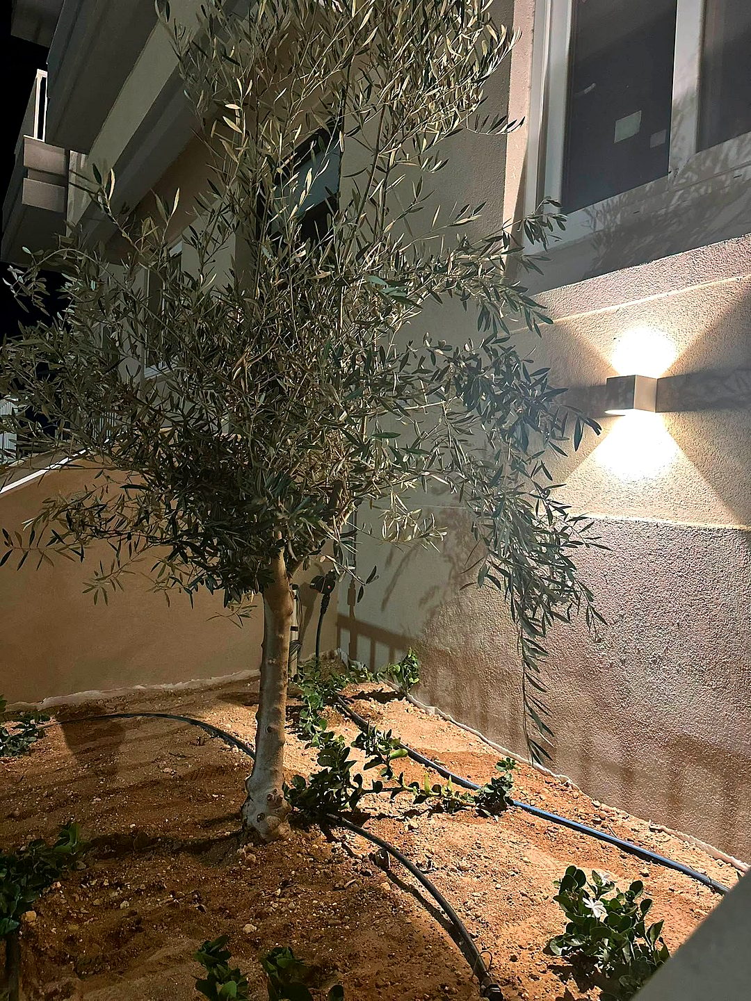 Maisonette in Birkirkara — 4