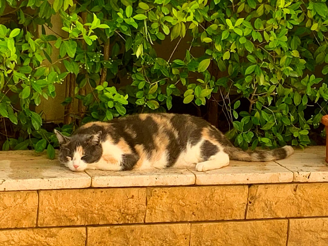 Room in Swieqi — 4