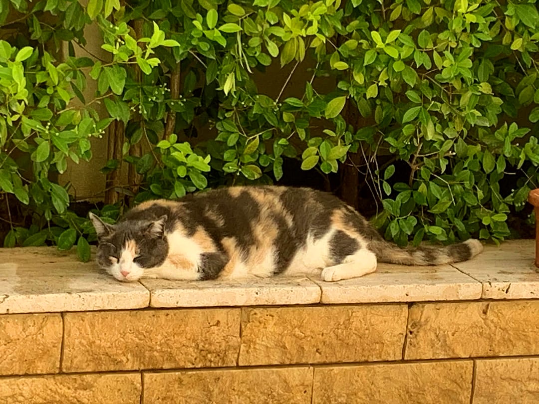 Room in Swieqi — 4