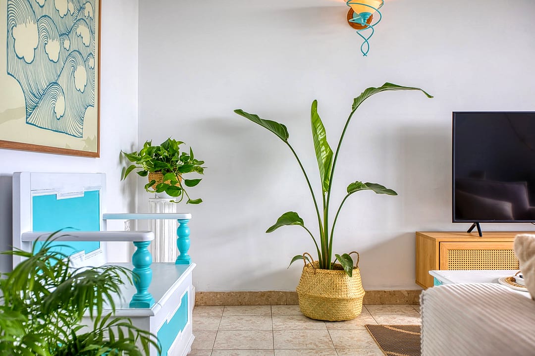Apartment in Sliema — 5