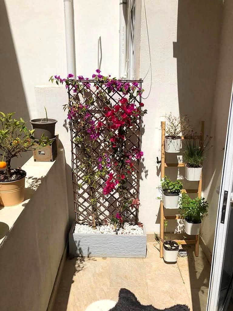 Apartment in Gzira - 2 beds, 1 bath — 3