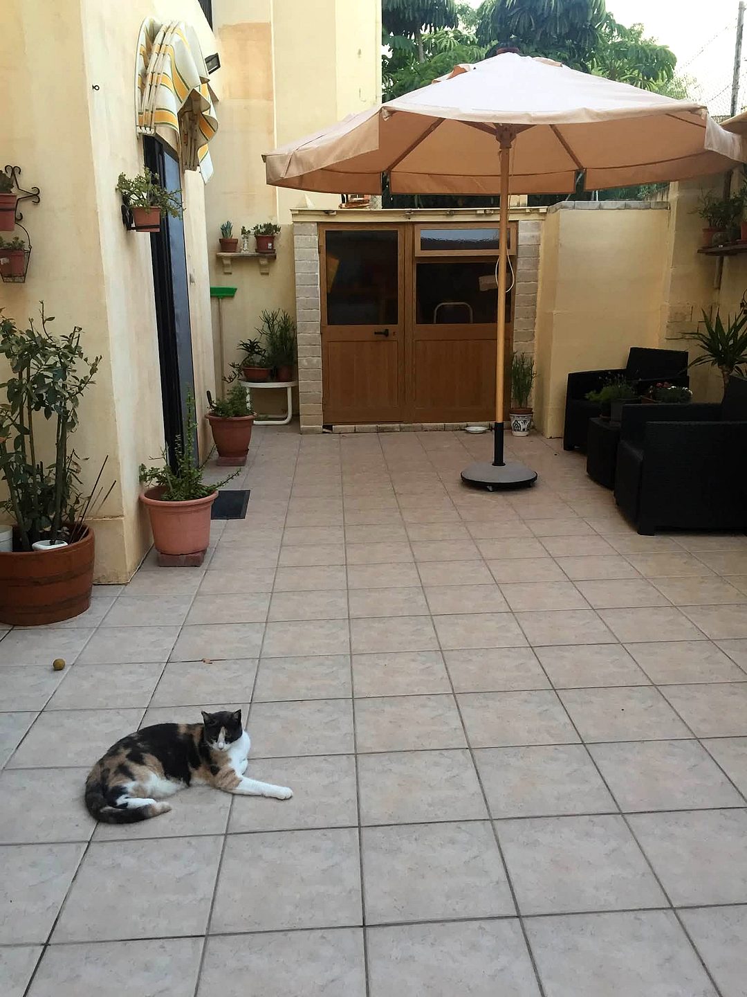 Room in Swieqi — 3