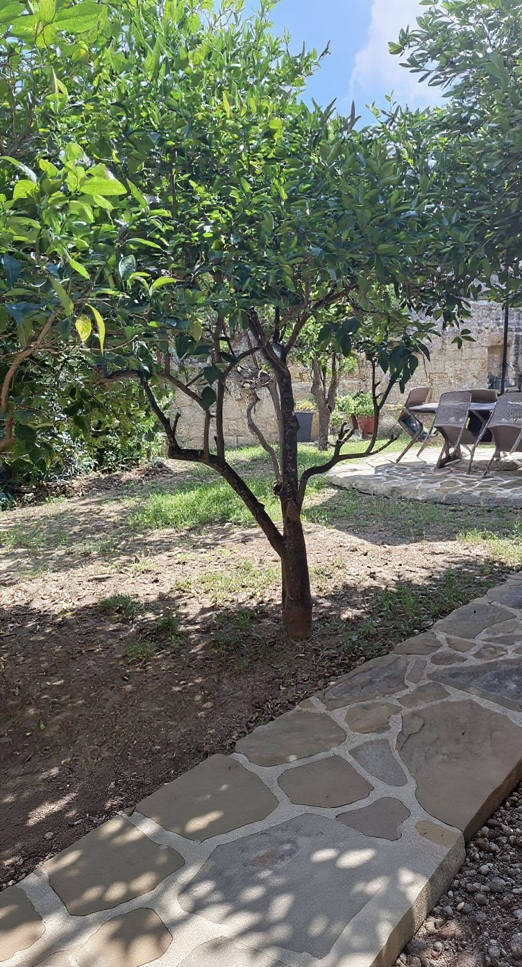House in Balzan - 4 beds — 2
