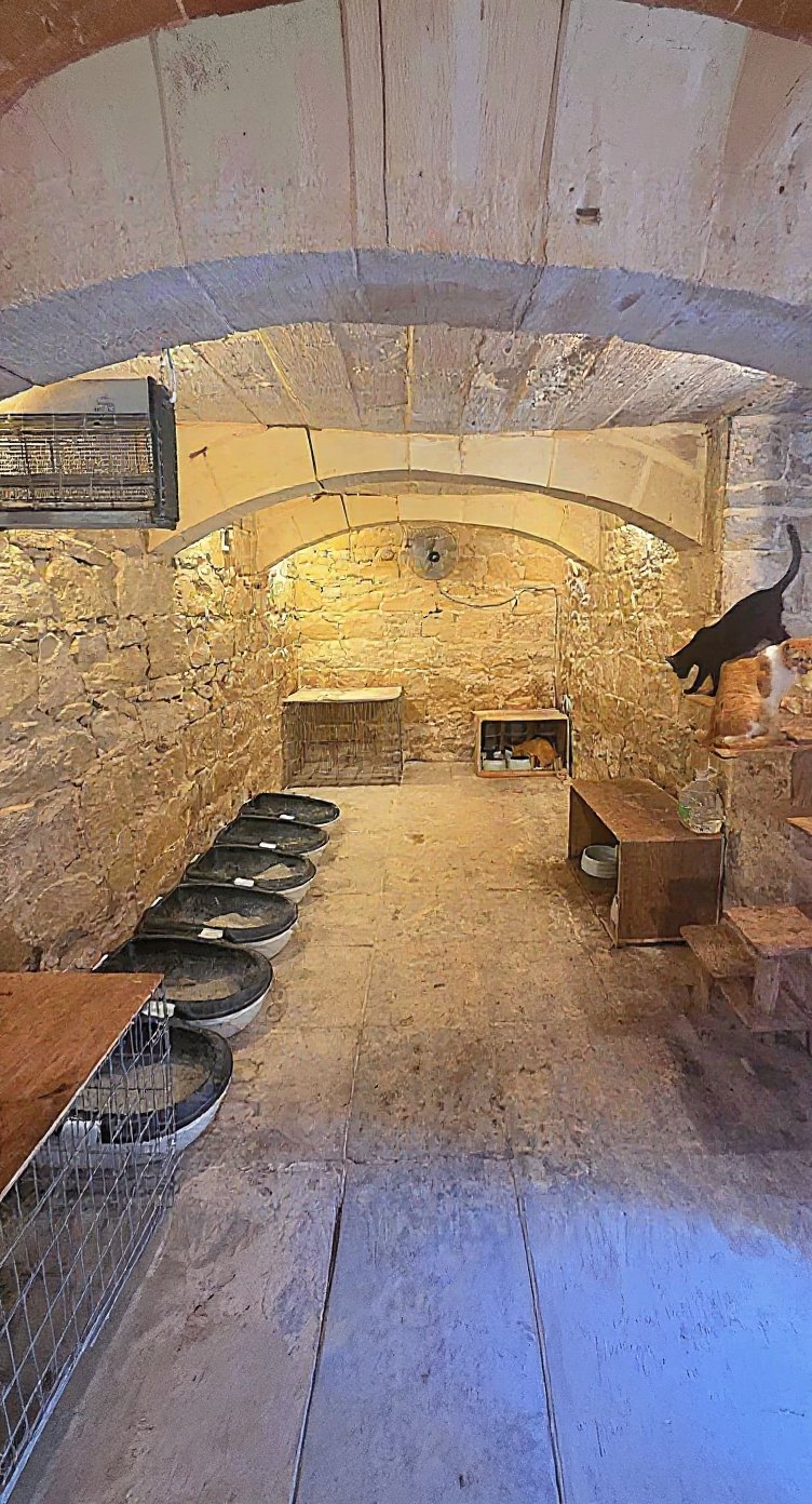 House in Siggiewi - 3 beds — 2