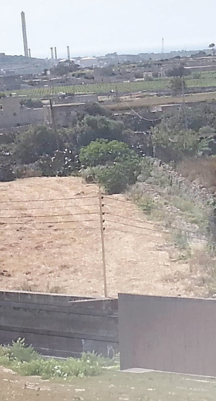 Apartment in Zejtun - 2 beds — 5