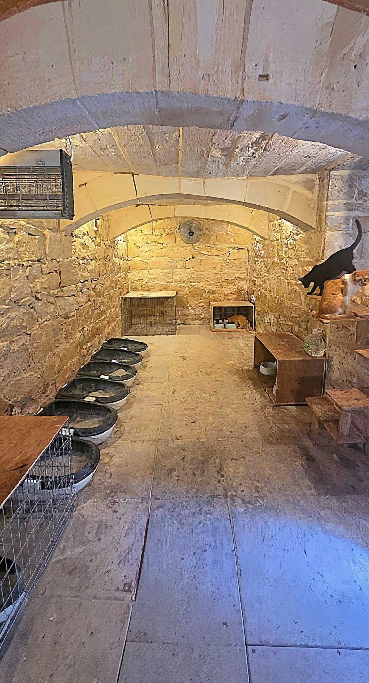 House in Siggiewi - 3 beds — 2